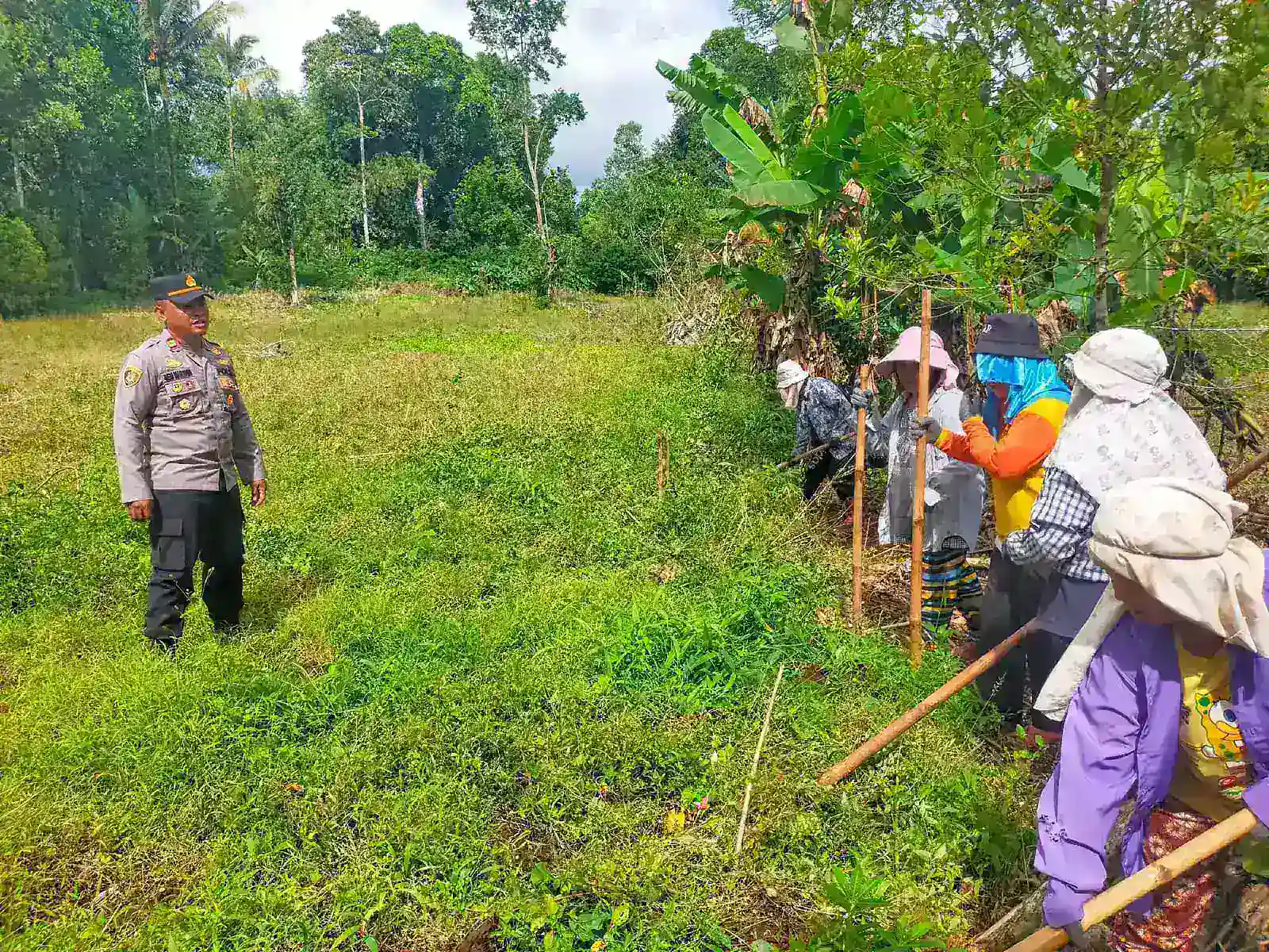 ? Polsek Kawangkoan Gelar Penanaman Benih Jagung Serentak di Kawangkoan Barat